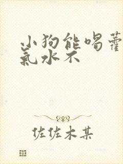 小狗能喝藿香正气水不