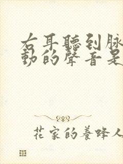 右耳听到脉搏跳动的声音是什么原因