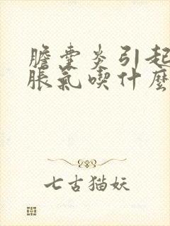 胆囊炎引起的胃胀气吃什么药最好