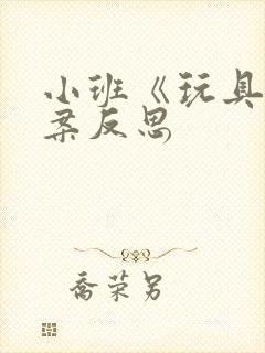 小班《玩具》教案反思