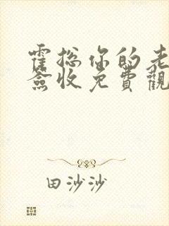 霍总你的老婆请签收免费观看全集