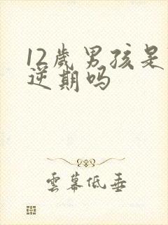 12岁男孩是叛逆期吗