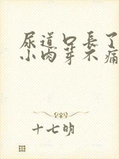 尿道口长了好多小肉芽不痛不痒