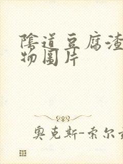 阴道豆腐渣分泌物图片