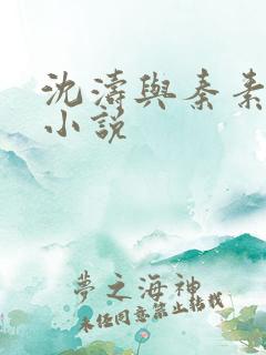 沈涛与秦素娥的小说