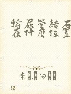 输尿管结石下段在什么位置