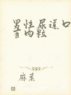 男性尿道口上长有肉粒