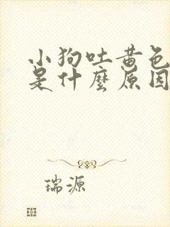 小狗吐黄色液体是什么原因