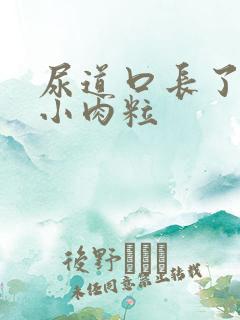 尿道口长了几个小肉粒