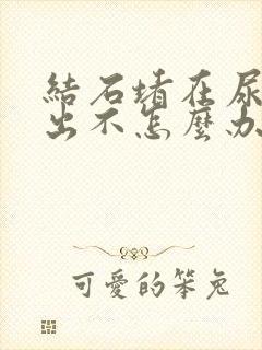 结石堵在尿道口出不怎么办