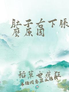 肚子右下胀痛什么原因