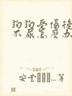 狗狗受伤后不拉不尿怎么办