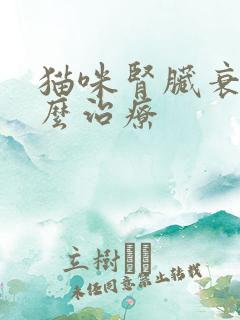 猫咪肾脏衰竭怎么治疗