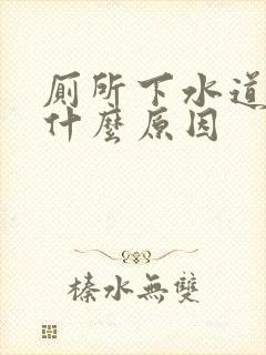 厕所下水道反味什么原因