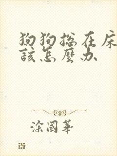 狗狗总在床上尿该怎么办