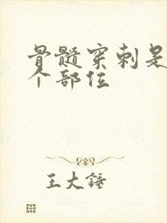 骨髓穿刺是在哪个部位