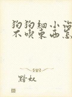 狗狗细小治愈后不吃东西怎么办