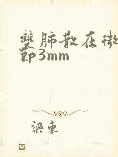 双肺散在微小结节3mm