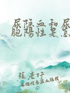 尿隐血和尿白细胞阳性是怎么回事