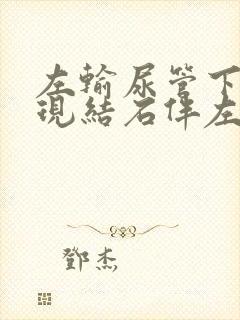 左输尿管下段出现结石伴左肾轻度积水