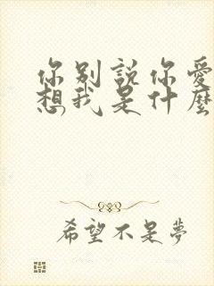 你别说你爱我你想我是什么歌