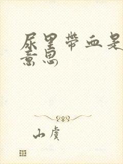 尿里带血是什么意思