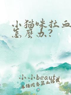 小猫咪拉血便该怎么办?