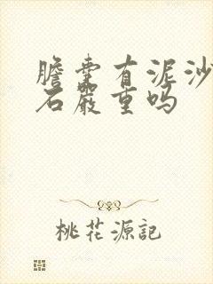 胆囊有泥沙样结石严重吗