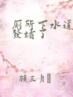 厕所下水道被头发堵了