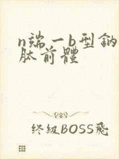 n端一b型钠尿肽前体