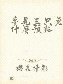 梦见三只兔子是什么预兆