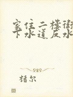 家住二楼卫生间下水道反水怎么办