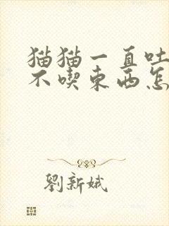 猫猫一直吐黄水不吃东西怎么办