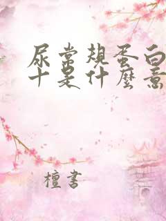 尿常规蛋白质3十是什么意思