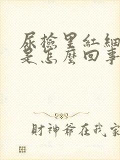 尿检里红细胞高是怎么回事