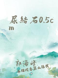 尿结石0.5cm