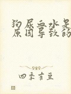 狗尿血水是什么原因导致的