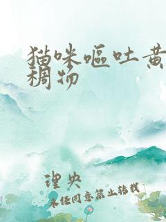 猫咪呕吐黄色粘稠物