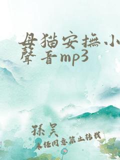 母猫安抚小猫的声音mp3