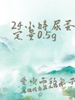 24小时尿蛋白定量0.5g