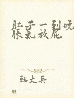 肚子一到晚上就胀气放屁