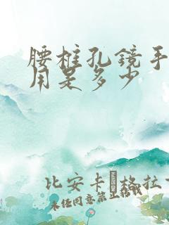 腰椎孔镜手术费用是多少