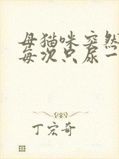 母猫咪突然尿频每次只尿一点