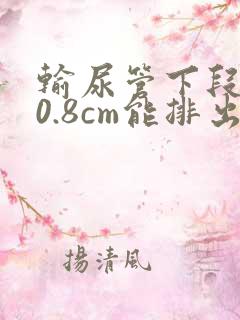 输尿管下段结石0.8cm能排出来吗