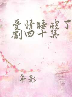 爱情睡醒了连续剧四十集