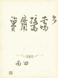 治疗孩子多动症费用高吗