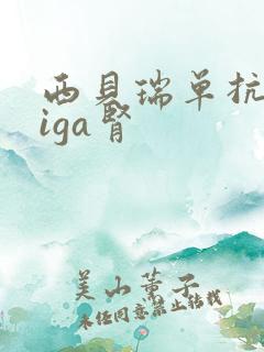 西贝瑞单抗治疗iga肾