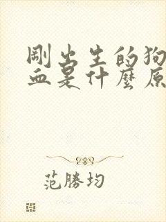 刚出生的狗狗尿血是什么原因