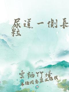 尿道一侧长小肉粒