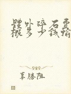 体外碎石费用大概多少钱输尿管